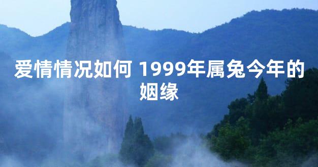 爱情情况如何 1999年属兔今年的姻缘